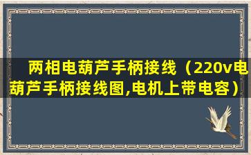 两相电葫芦手柄接线（220v电葫芦手柄接线图,电机上带电容）