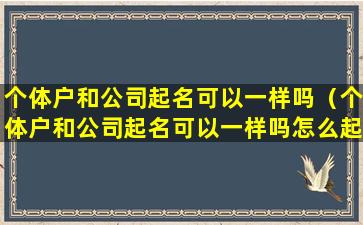 个体户和公司起名可以一样吗（个体户和公司起名可以一样吗怎么起）