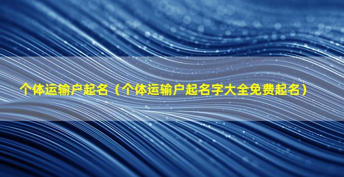 个体运输户起名（个体运输户起名字大全免费起名）