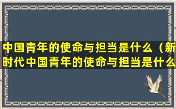 中国青年的使命与担当是什么（新时代中国青年的使命与担当是什么）