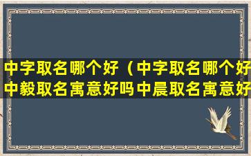 中字取名哪个好（中字取名哪个好中毅取名寓意好吗中晨取名寓意好吗）