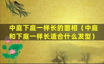 中庭下庭一样长的面相（中庭和下庭一样长适合什么发型）