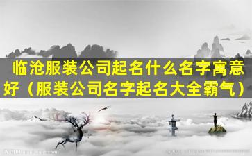 临沧服装公司起名什么名字寓意好（服装公司名字起名大全霸气）