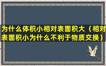 为什么体积小相对表面积大（相对表面积小为什么不利于物质交换）