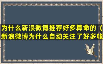 为什么新浪微博推荐好多算命的（新浪微博为什么自动关注了好多帐号）