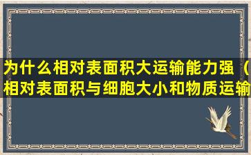 为什么相对表面积大运输能力强（相对表面积与细胞大小和物质运输效率有什么关系）