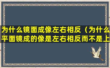 为什么镜面成像左右相反（为什么平面镜成的像是左右相反而不是上下相反）