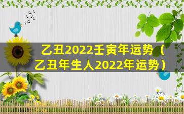 乙丑2022壬寅年运势（乙丑年生人2022年运势）