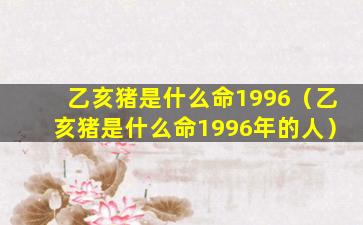 乙亥猪是什么命1996（乙亥猪是什么命1996年的人）