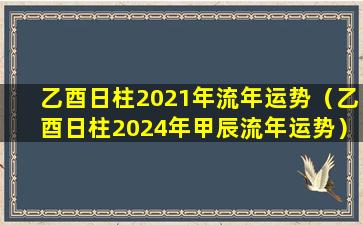 乙酉日柱2021年流年运势（乙酉日柱2024年甲辰流年运势）