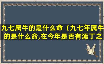 九七属牛的是什么命（九七年属牛的是什么命,在今年是否有添丁之喜）