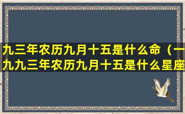 九三年农历九月十五是什么命（一九九三年农历九月十五是什么星座）