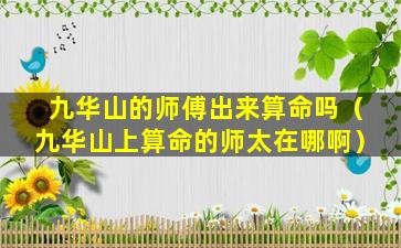 九华山的师傅出来算命吗（九华山上算命的师太在哪啊）