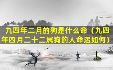 九四年二月的狗是什么命（九四年四月二十二属狗的人命运如何）