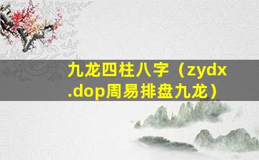 九龙四柱八字（zydx.dop周易排盘九龙）