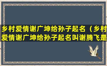 乡村爱情谢广坤给孙子起名（乡村爱情谢广坤给孙子起名叫谢腾飞是哪一集）