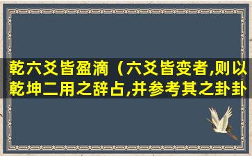 乾六爻皆盈滴（六爻皆变者,则以乾坤二用之辞占,并参考其之卦卦辞）