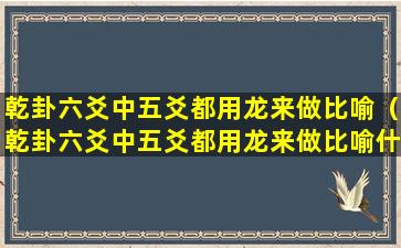 乾卦六爻中五爻都用龙来做比喻（乾卦六爻中五爻都用龙来做比喻什么意思）