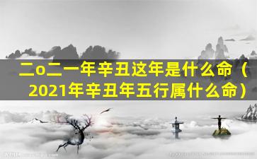 二o二一年辛丑这年是什么命（2021年辛丑年五行属什么命）