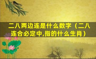 二八两边连是什么数字（二八连合必定中,指的什么生肖）