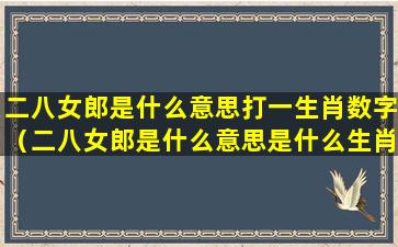 二八女郎是什么意思打一生肖数字（二八女郎是什么意思是什么生肖）