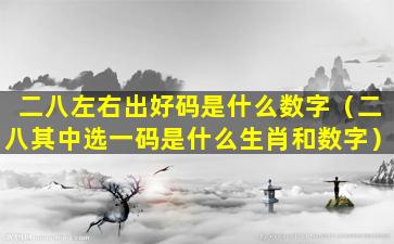 二八左右出好码是什么数字（二八其中选一码是什么生肖和数字）