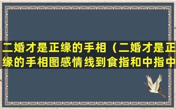 二婚才是正缘的手相（二婚才是正缘的手相图感情线到食指和中指中间）