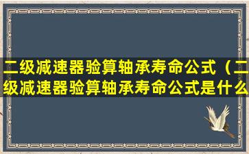 二级减速器验算轴承寿命公式（二级减速器验算轴承寿命公式是什么）