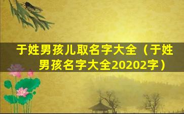 于姓男孩儿取名字大全（于姓男孩名字大全20202字）