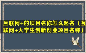 互联网+的项目名称怎么起名（互联网+大学生创新创业项目名称）