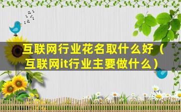 互联网行业花名取什么好（互联网it行业主要做什么）