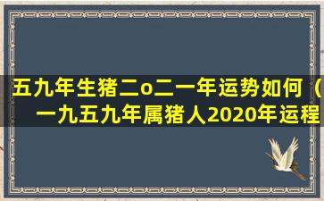 五九年生猪二o二一年运势如何（一九五九年属猪人2020年运程）