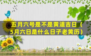 五月六号是不是黄道吉日（5月六日是什么日子老黄历）