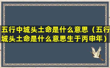 五行中城头土命是什么意思（五行城头土命是什么意思生于丙申年）