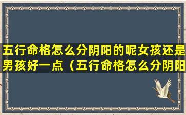 五行命格怎么分阴阳的呢女孩还是男孩好一点（五行命格怎么分阴阳的呢女孩还是男孩好一点呢）