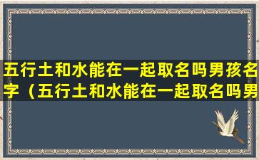 五行土和水能在一起取名吗男孩名字（五行土和水能在一起取名吗男孩名字怎么取）