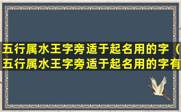 五行属水王字旁适于起名用的字（五行属水王字旁适于起名用的字有哪些）