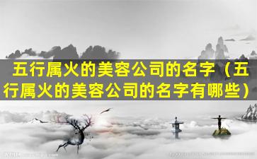 五行属火的美容公司的名字（五行属火的美容公司的名字有哪些）