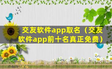 交友软件app取名（交友软件app前十名真正免费）