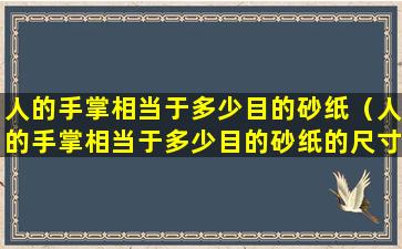 人的手掌相当于多少目的砂纸（人的手掌相当于多少目的砂纸的尺寸）