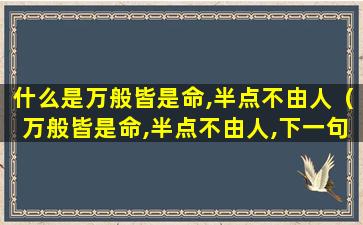 什么是万般皆是命,半点不由人（万般皆是命,半点不由人,下一句是什么）