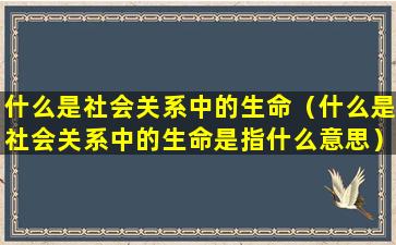 什么是社会关系中的生命（什么是社会关系中的生命是指什么意思）