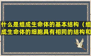 什么是组成生命体的基本结构（组成生命体的细胞具有相同的结构和功能对吗）