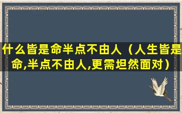 什么皆是命半点不由人（人生皆是命,半点不由人,更需坦然面对）