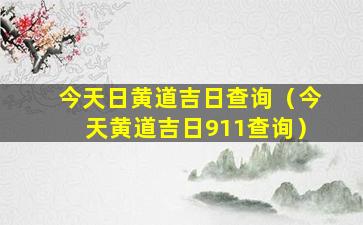 今天日黄道吉日查询（今天黄道吉日911查询）