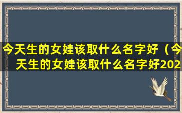 今天生的女娃该取什么名字好（今天生的女娃该取什么名字好2023.11.15）