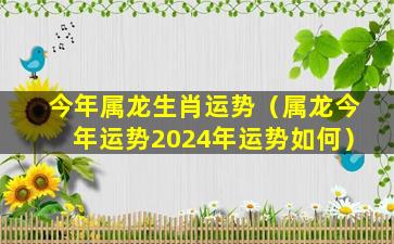 今年属龙生肖运势（属龙今年运势2024年运势如何）