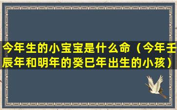 今年生的小宝宝是什么命（今年壬辰年和明年的癸巳年出生的小孩）