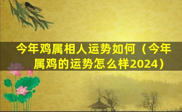 今年鸡属相人运势如何（今年属鸡的运势怎么样2024）