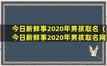 今日新鲜事2020年男孩取名（今日新鲜事2020年男孩取名网）